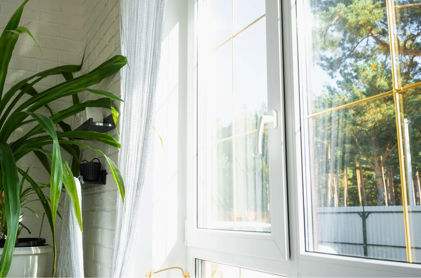 Ventanas panorámicas para luz y vista